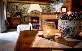 Chalet in pietra e legno con caminetto